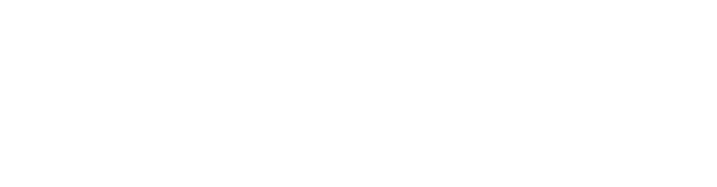 جسور